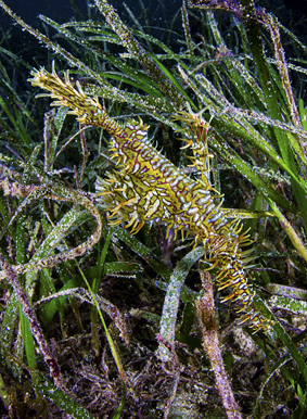 49a2fa182d25387bbdceb5533134199b_정운호 IMG_0678.jpg